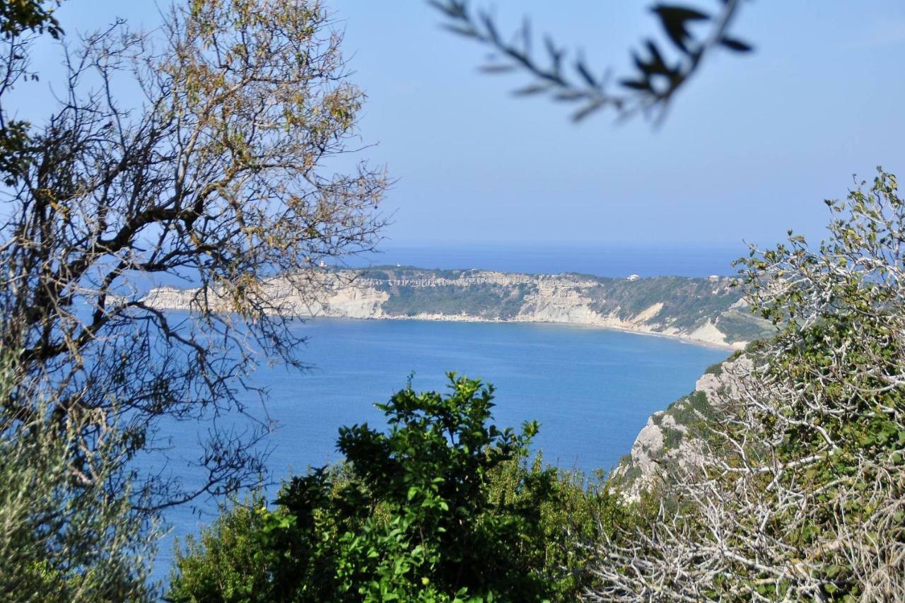 Villa Meli Afionas Corfu ภายนอก รูปภาพ